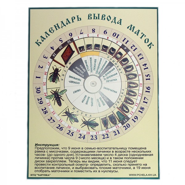 Календарь вывода маток (Чарунка)