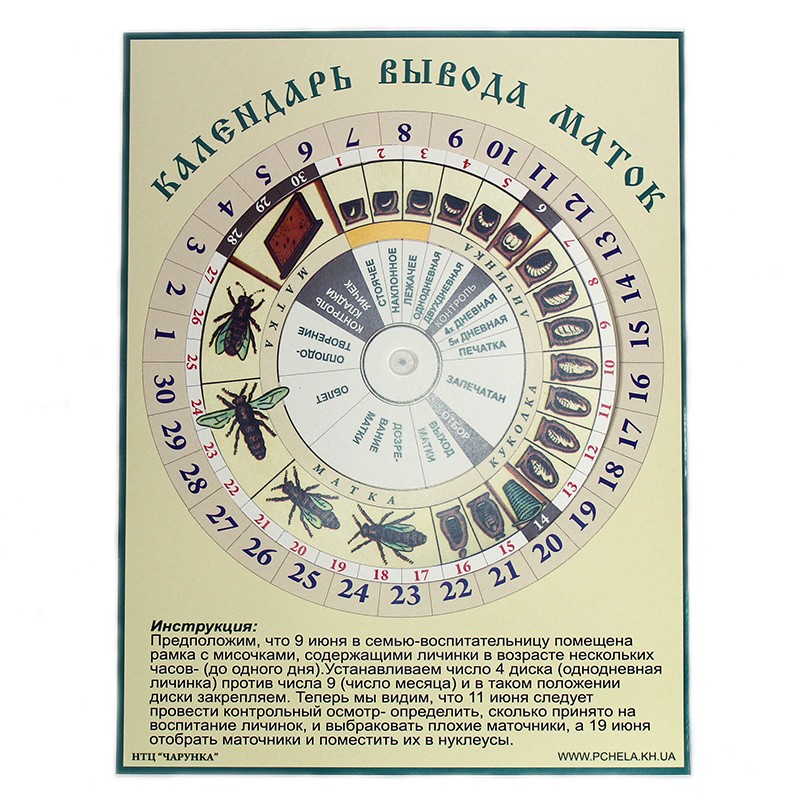 Календарь вывода маток (Чарунка)