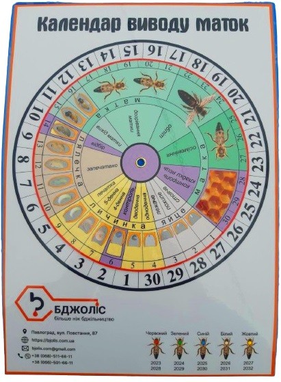  Календар виведення маток