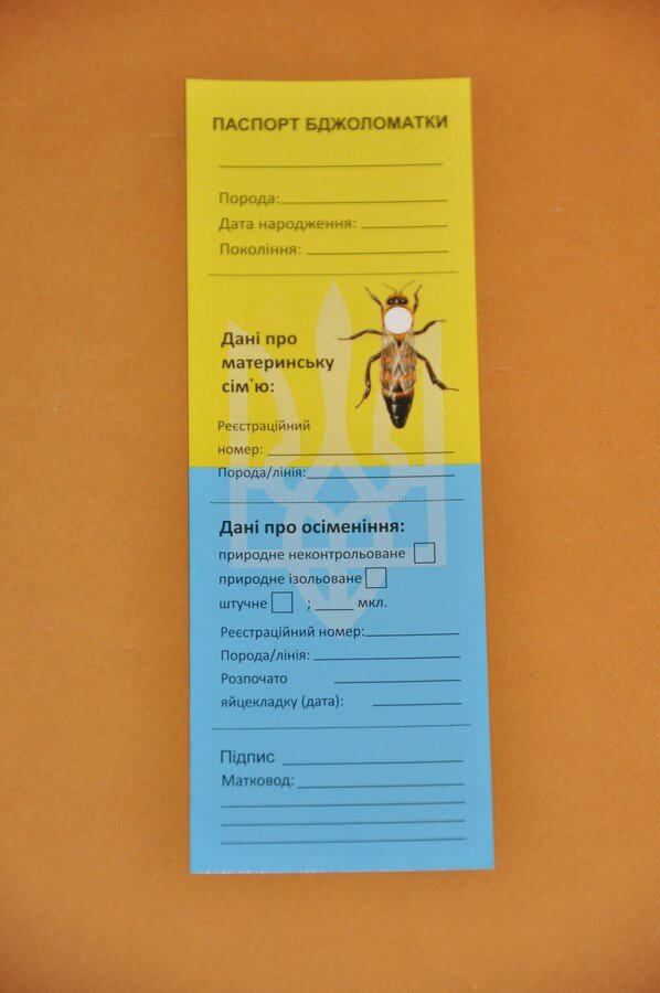 Паспорт матки (общая форма)