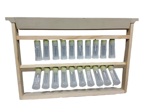 Прививочна рамка Дадан 300 мм з цоколями, мисочками та бігуді аналог Nicot