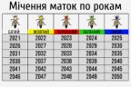 Фарба для мітки бджолиних маток (водна основа)